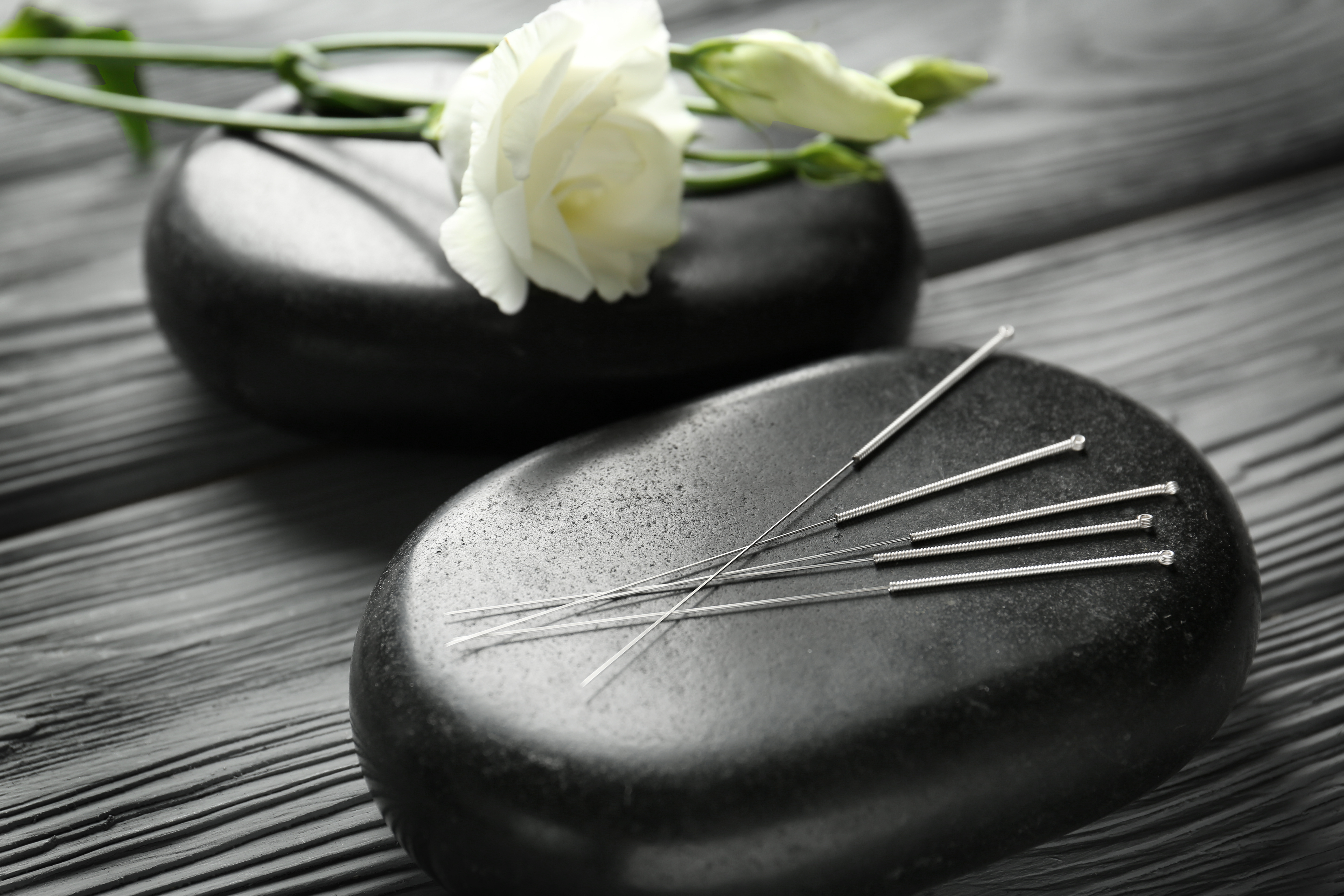 Japanische Akupunktur
